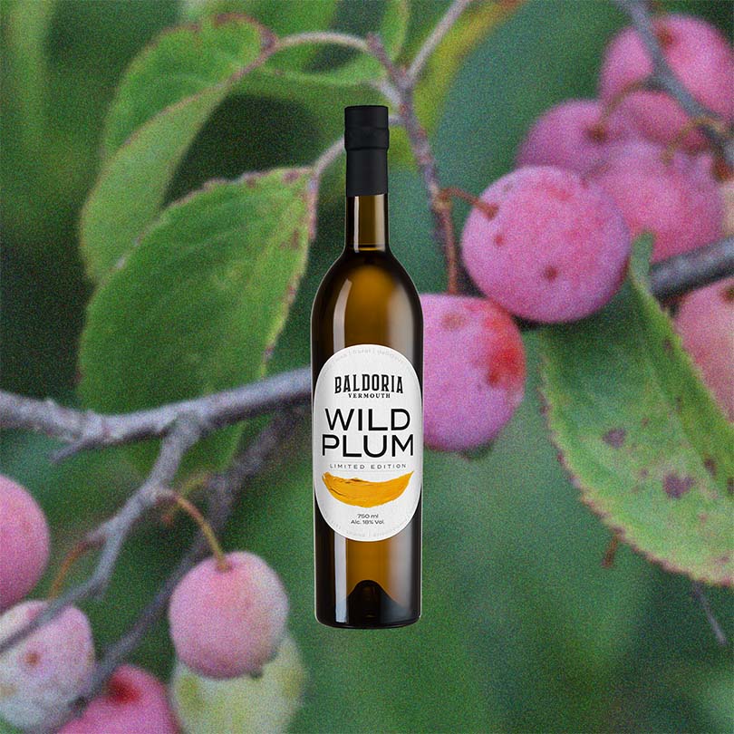 Baldoria Wild Plum Vermouth - Image 2