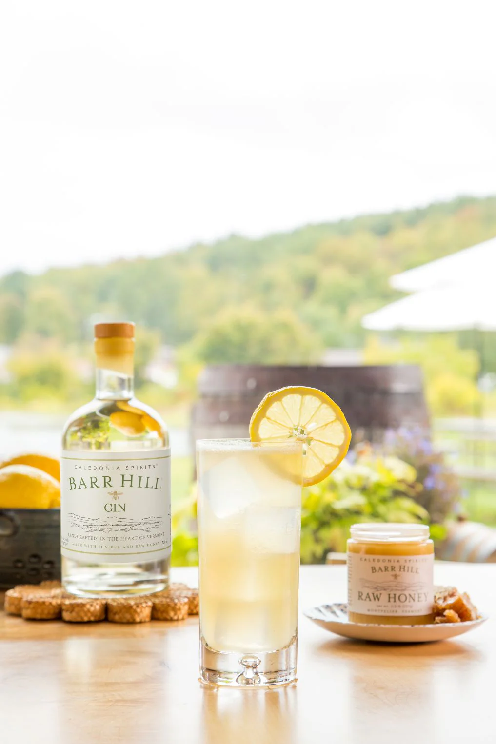 Barr Hill Gin - Image 5