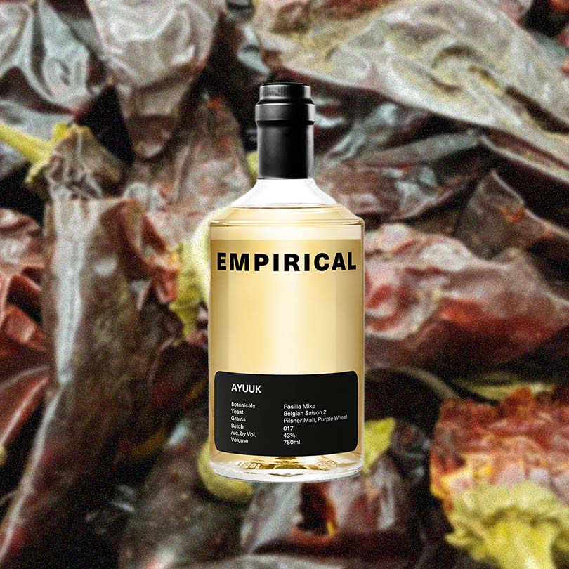 Empirical Ayuuk - Image 2