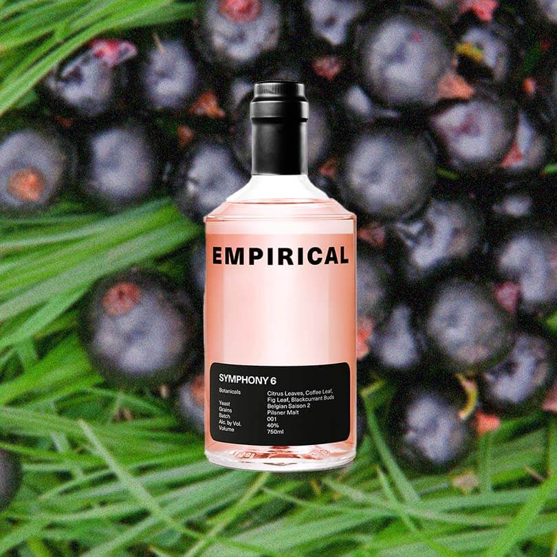 Empirical Symphony 6 - Image 2