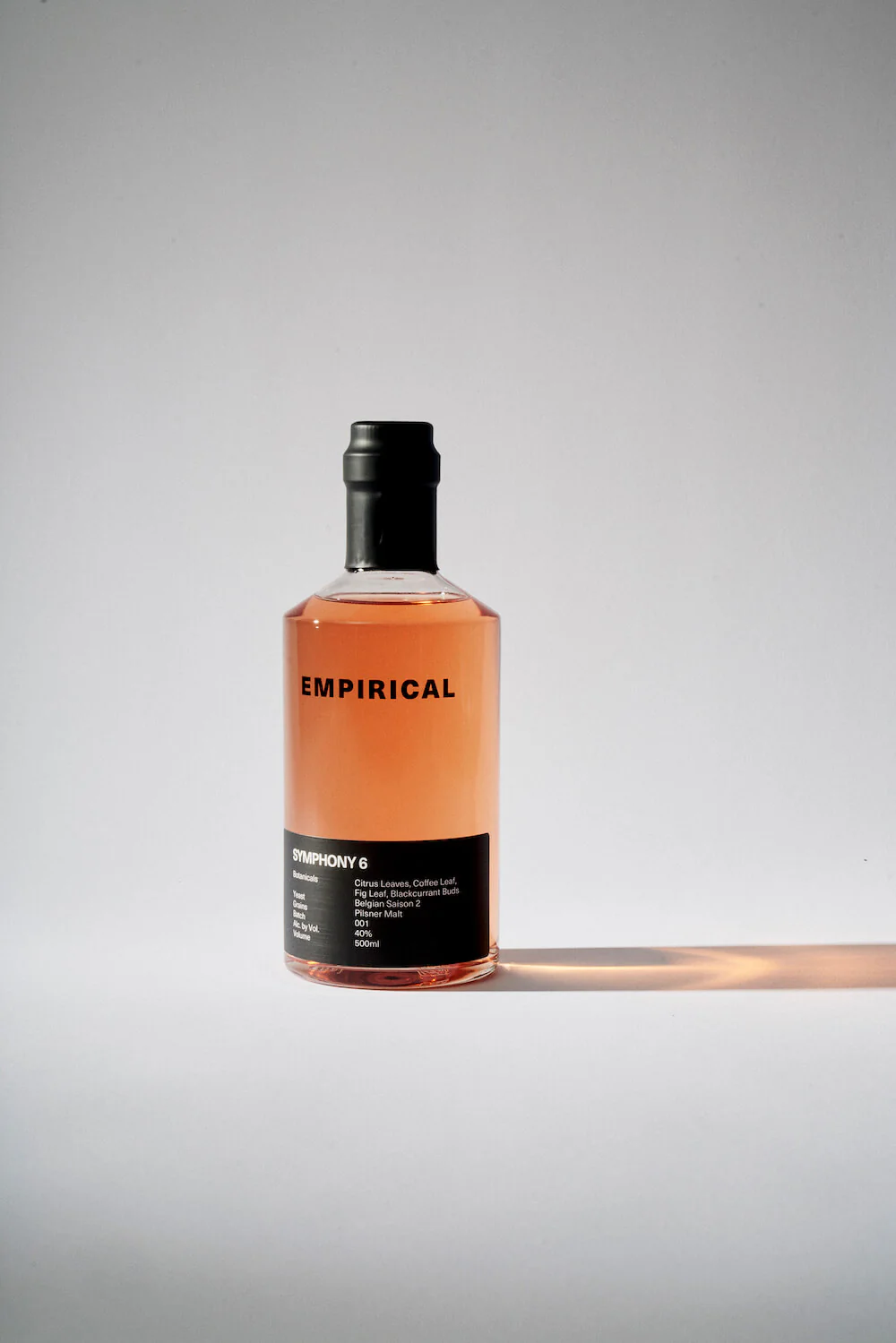 Empirical Symphony 6 - Image 3