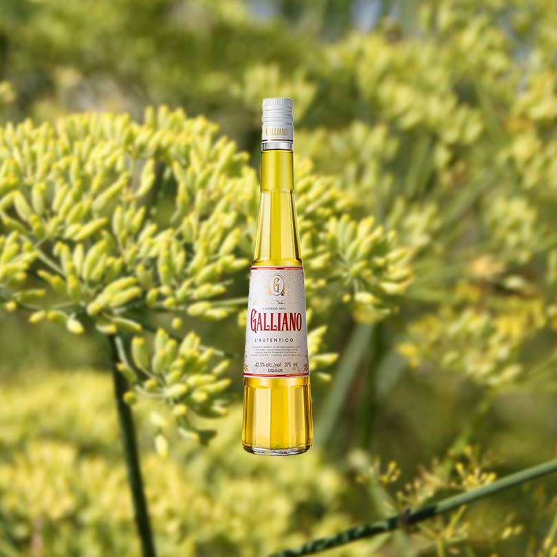 Galliano Autentico Liqueur - Image 2