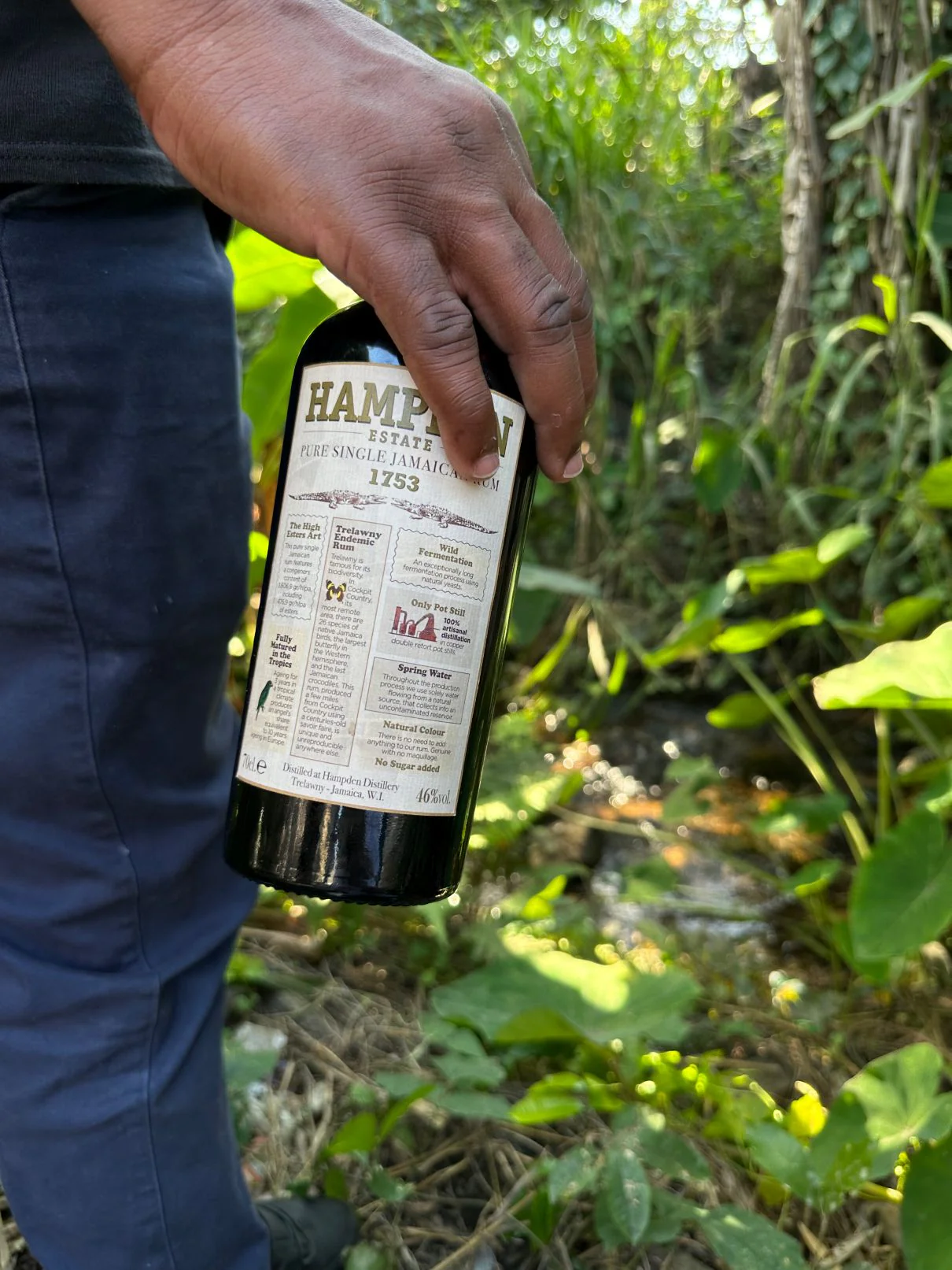 Hampden Estate 1753 Pure Single Jamaican Rum - Image 6