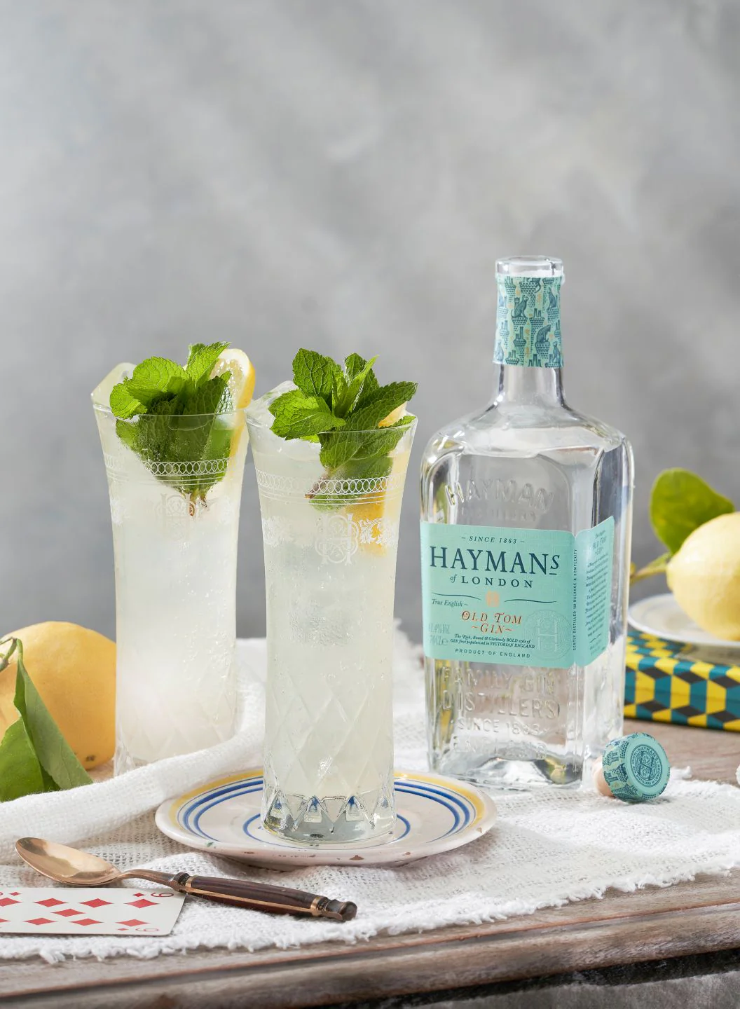 Hayman's Old Tom Gin - Image 11