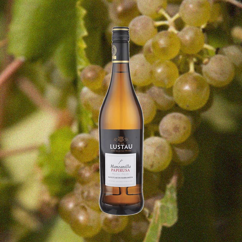 Lustau Manzanilla Papirusa Sherry - Image 2