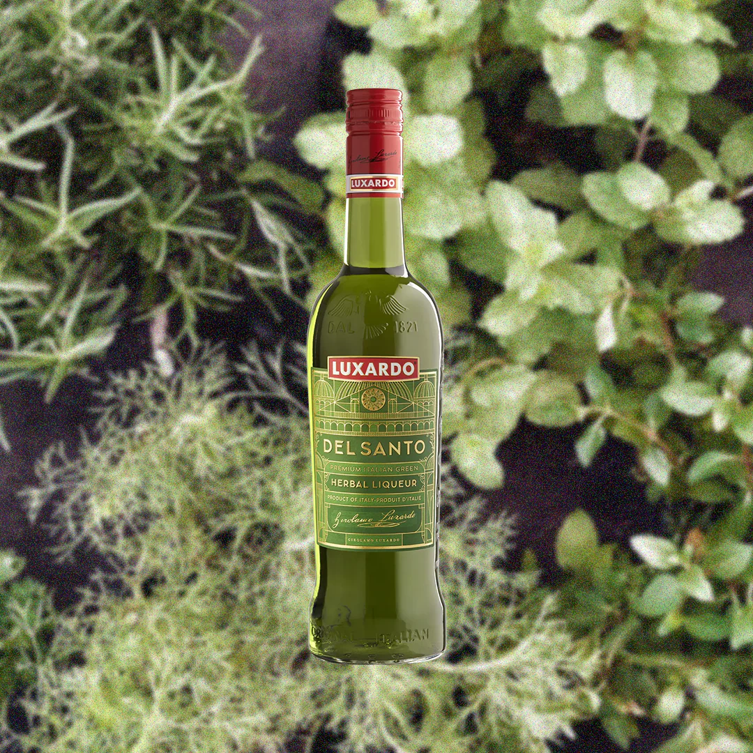 Luxardo Del Santo Herbal Liqueur - Image 2