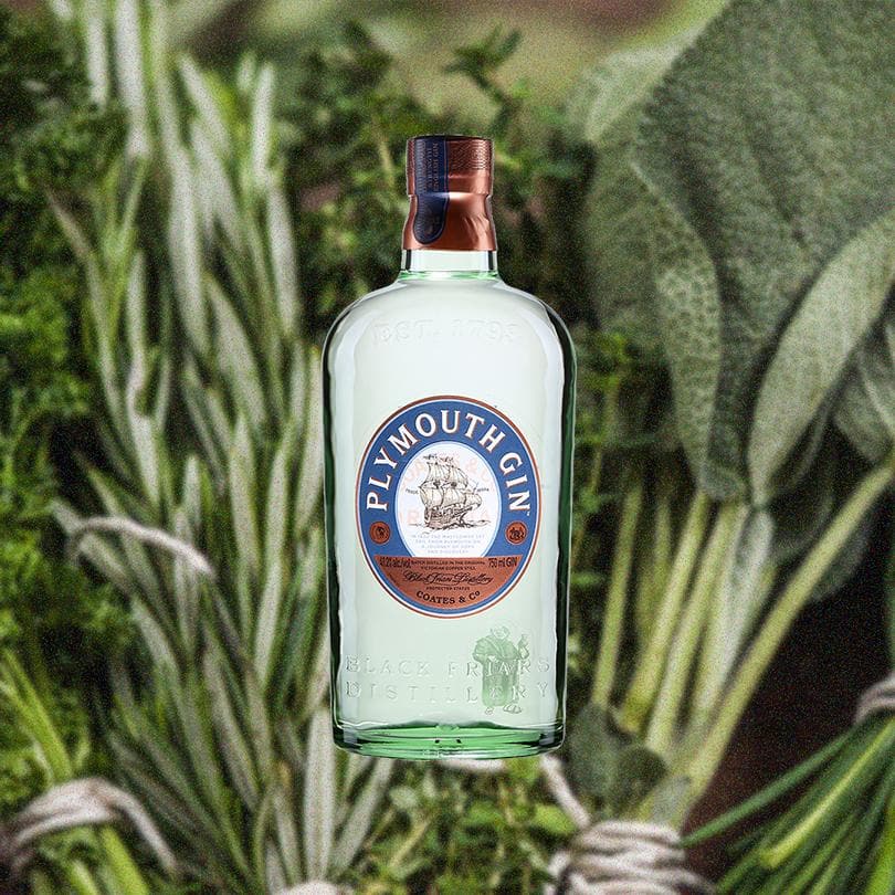 Plymouth Gin - Image 2