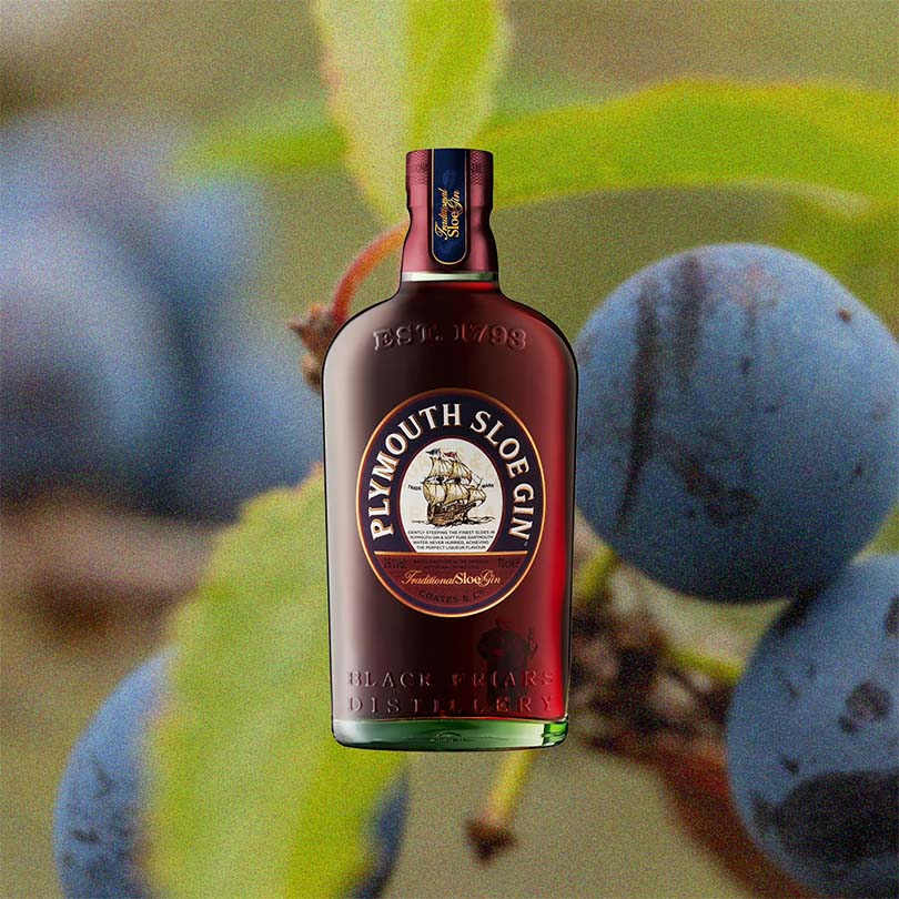 Plymouth Sloe Gin - Image 2