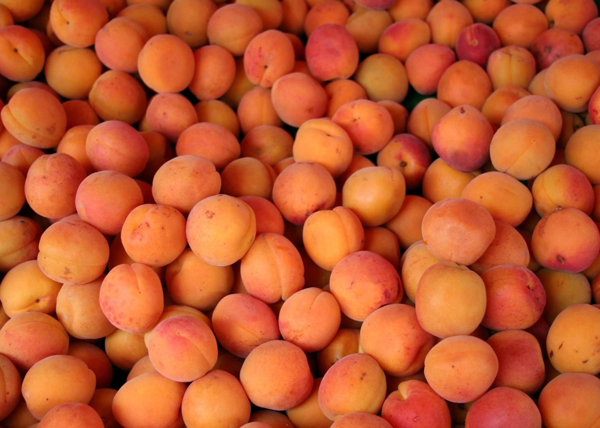 Rothman & Winter Apricot Liqueur - Image 4