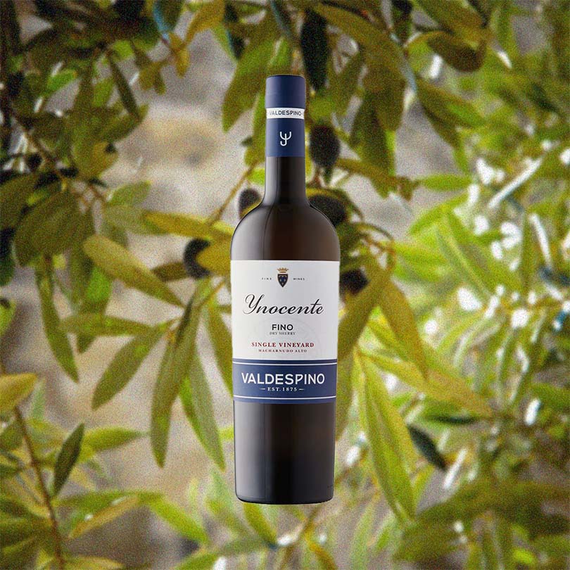 Valdespino Inocente Fino Sherry - Image 2
